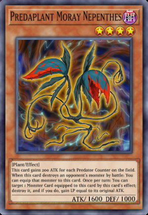 Predaplant Moray Nepenthes