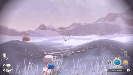 PLA Alpha Swinub Berry