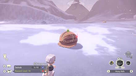 PLA Alpha Swinub Catch