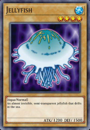 Jellyfish