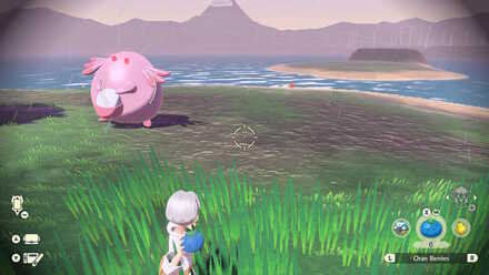 PLA Alpha Chansey Berry