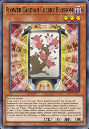 Flower Cardian Cherry Blossom