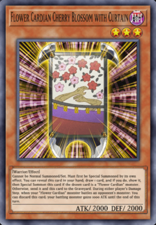 Flower Cardian Cherry Blossom with Curtain