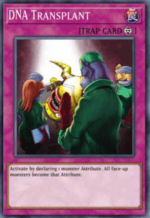 DNA Transplant