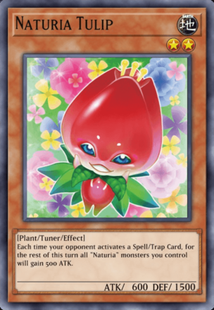 Naturia Tulip