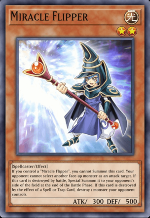 Miracle Flipper