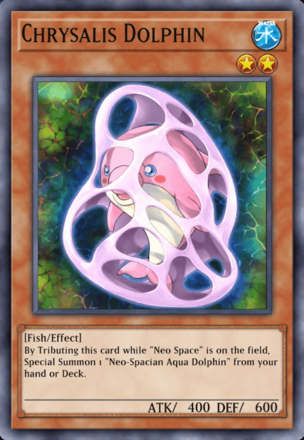 Chrysalis Dolphin
