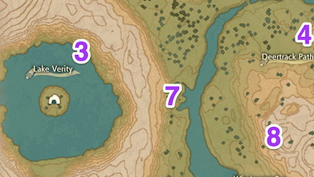 Obsidian Fieldslands Wisp 3 Map