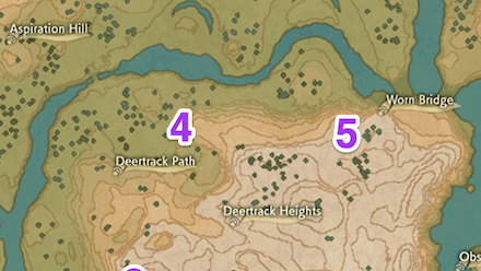 Obsidian Fieldlands Wisp 4 Map