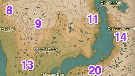 Obsidian Fieldlands Wisp 14 Map