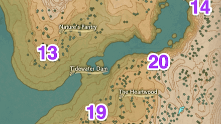 Obsidian Fieldlands Wisp 20 Map