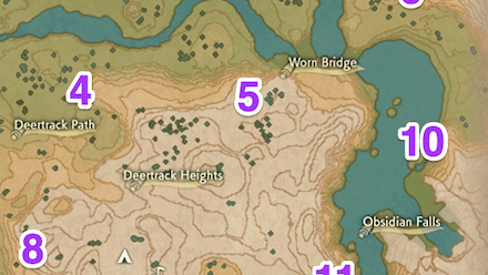 Obsidian Fieldlands Wisp 10 Map