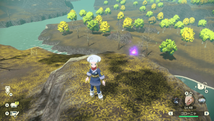 Wisp 10 Actual Location.png