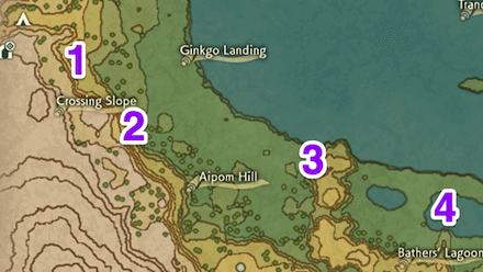 Cobalt Coastlands Wisp 2 Map.png