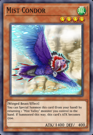 Mist Condor