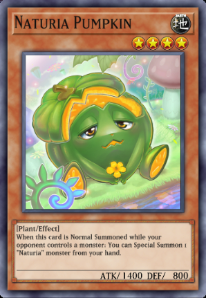 Naturia Pumpkin
