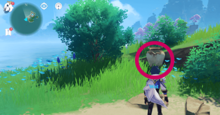 Genshin - Violet Court Pot Locations - 7 Behind the West Island