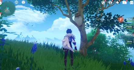 Genshin - Violet Court Pot Locations - 13 Up the Tree