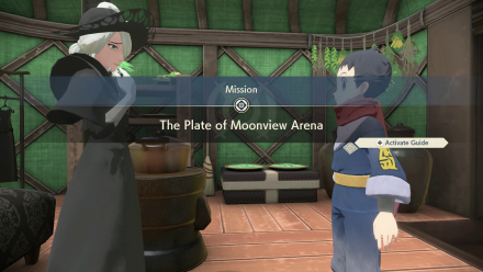 The Plate of Moonview Arena