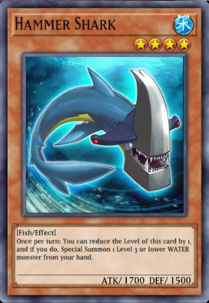Hammer Shark