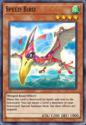 Speed Bird