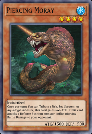 Piercing Moray