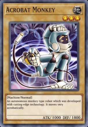 Acrobat Monkey