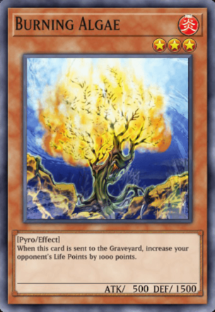 Burning Algae