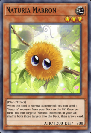 Naturia Marron