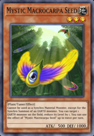 Mystic Macrocarpa Seed