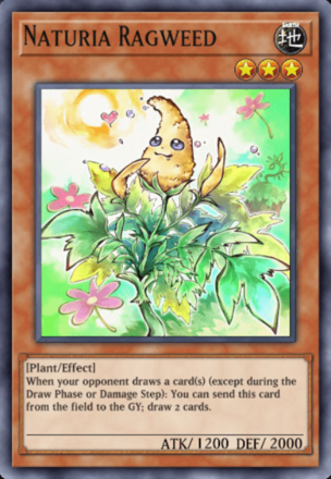 Naturia Ragweed