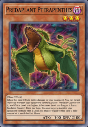 Predaplant Pterapenthes