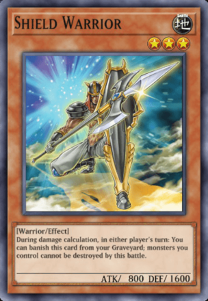 Shield Warrior