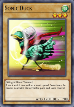 Sonic Duck