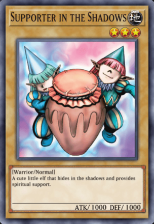 Supporter in the Shadows