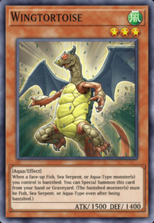 Wingtortoise