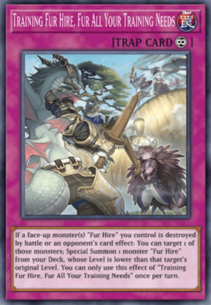 Training Fur Hire, Fur All Your Training Needs