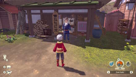 Legends Arceus - Anvin