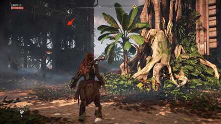 ExplorerWithoutIcon-2 Medium.jpeg