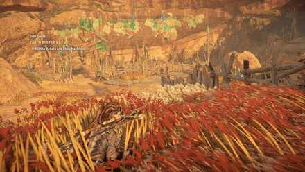 Go to the Rebel Camp