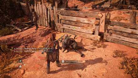 Go to the Carja Twilight Camp