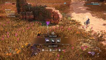 HarvestingWildMeat Medium.jpeg