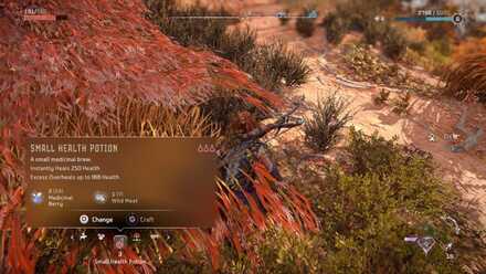 SmallHealthPotion Medium.jpeg