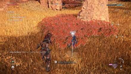 MedicinalSkybrush Medium.jpeg