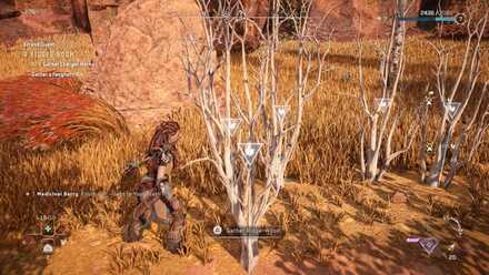 Ridgewood Medium.jpeg