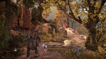 Investigate the Clearing