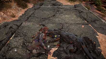 Examine the Blood and the Lookout