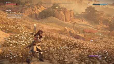 UsingTheCall Medium.jpeg