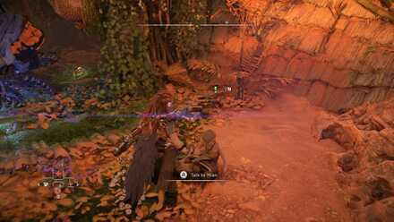 The Burning Blooms Location