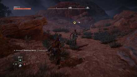 Follow Jaxx and Enter the Cave